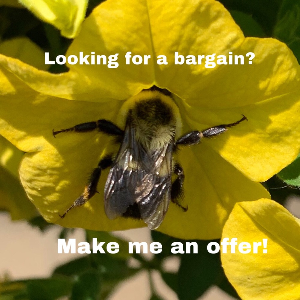 MAKE ME AN OFFER!!!